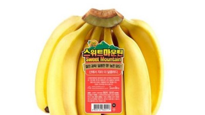 🍌마운틴바나나🥭 진짜 후기! 꿀팁 대방출 (할인정보 포함!)