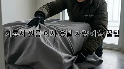 계룡시 원룸 이사? 용달 차량 예약 꿀팁!