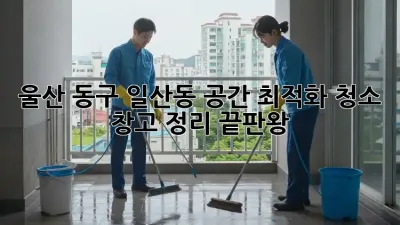 울산 동구 일산동 공간 최적화 청소 ✨: 창고 정리 끝판왕!